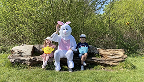 Easter Bunny Ashtons Easte Agents Warrington, Wigan and St.Helens 